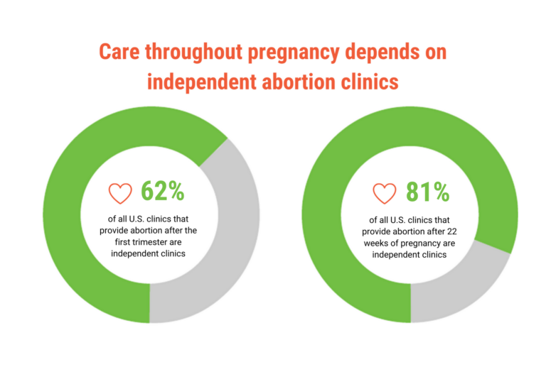 Pie chart of Independent abortion clinics