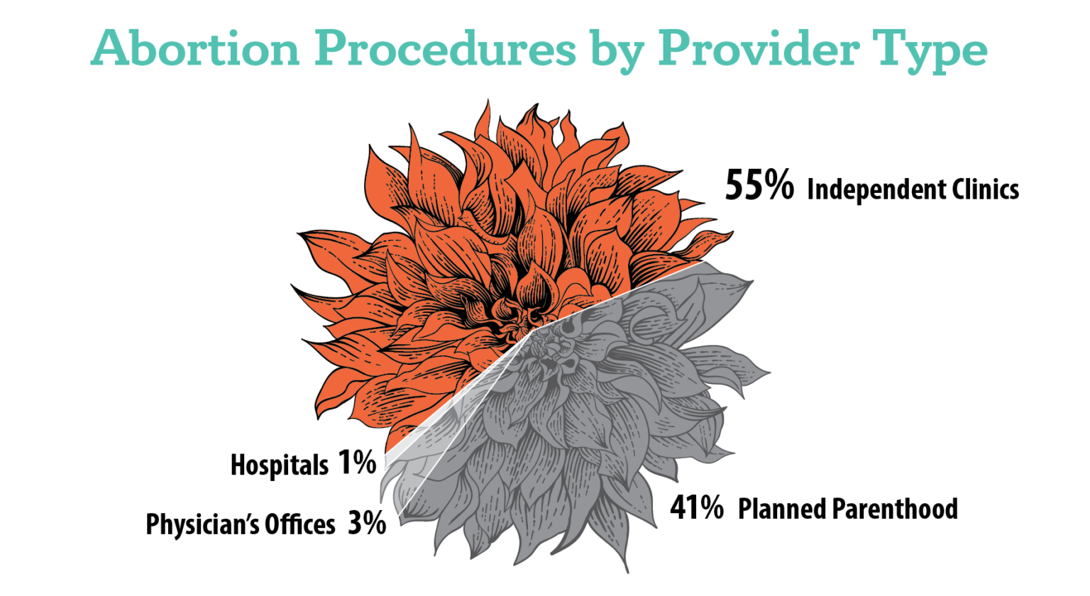 Abortion Procedures by Provider Type. 55% Independent Clinics 41% Planned Parenthood 3% Physician's Offices 1% Hospitals